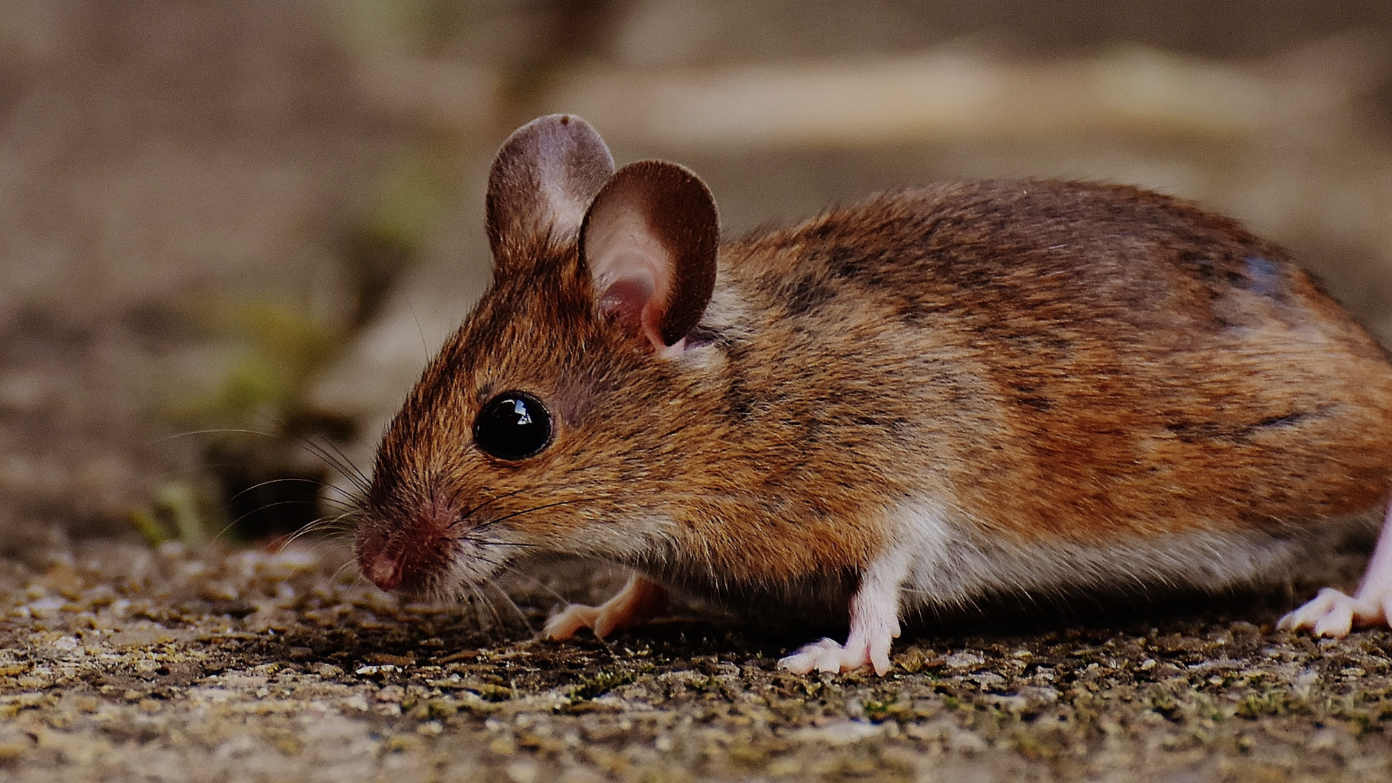 產(chǎn)品/器材