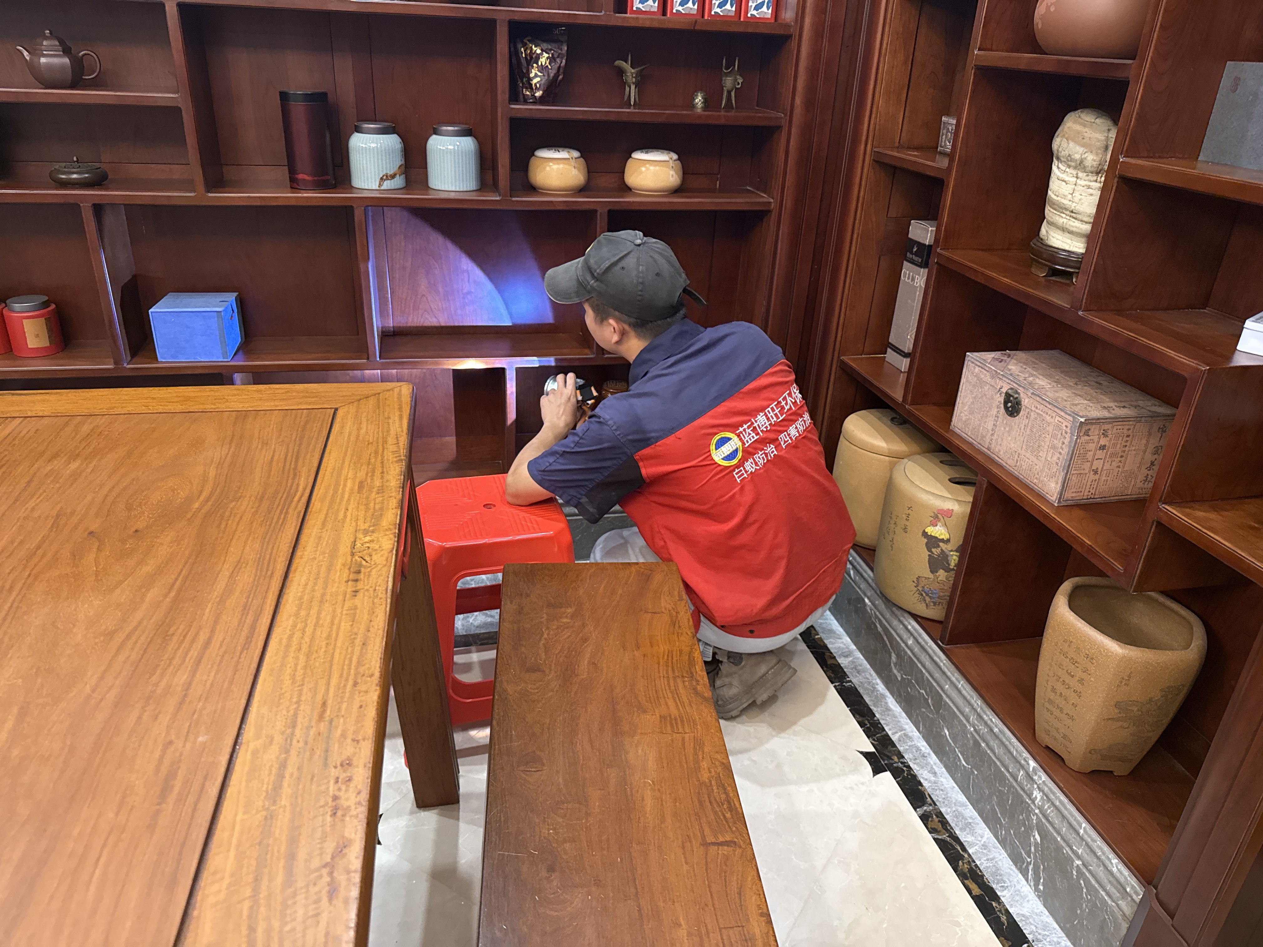 老鼠為什么總愛打洞？